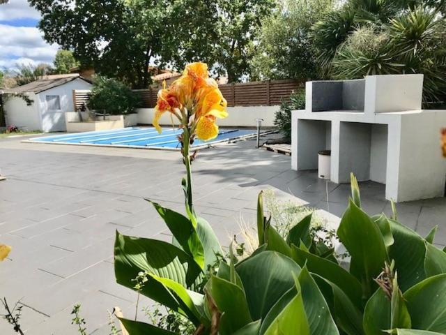 Maison Piscine 4 Ch Carcans Medoc Bassin Arcachon 외부 사진
