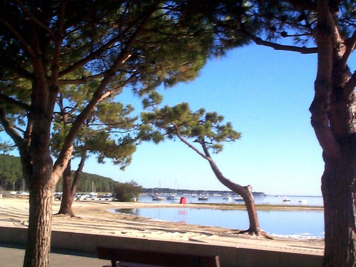 Maison Piscine 4 Ch Carcans Medoc Bassin Arcachon 외부 사진