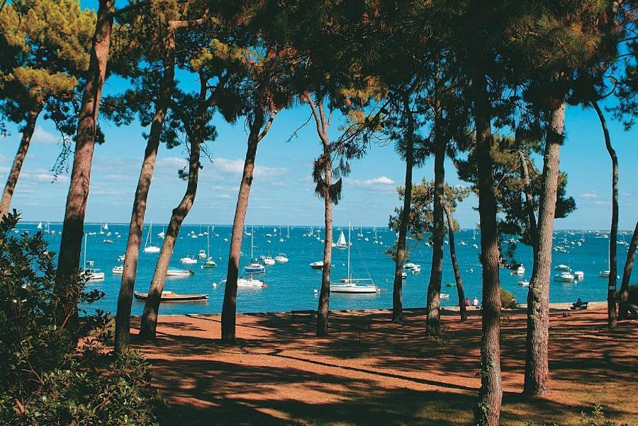Maison Piscine 4 Ch Carcans Medoc Bassin Arcachon 외부 사진